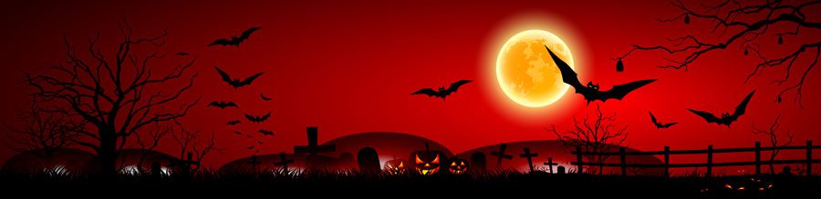 Top 20+ mẫu backdrop Halloween 31/10 đẹp, ấn tượng nhất Mẫu backdrop Halloween đẹp - MÃ SP 14