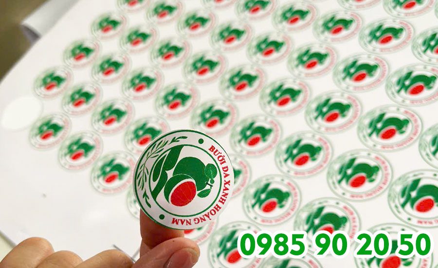 Phương pháp cắt đứt decal nhưng vẫn giữ lại lớp giấy phía dưới